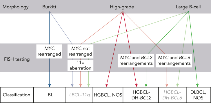 Figure 4.