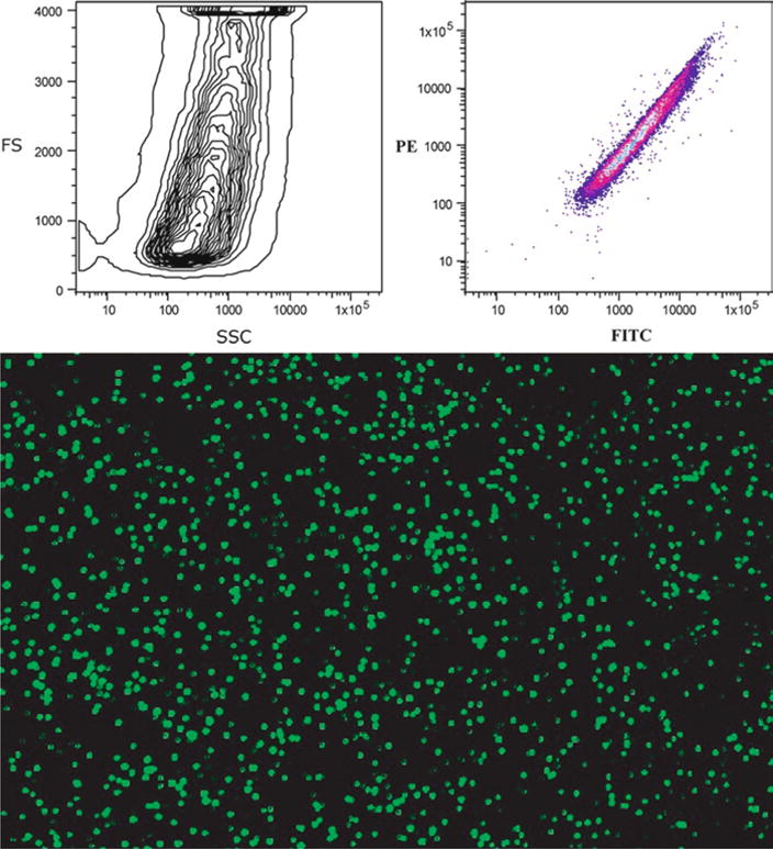 Fig. 9