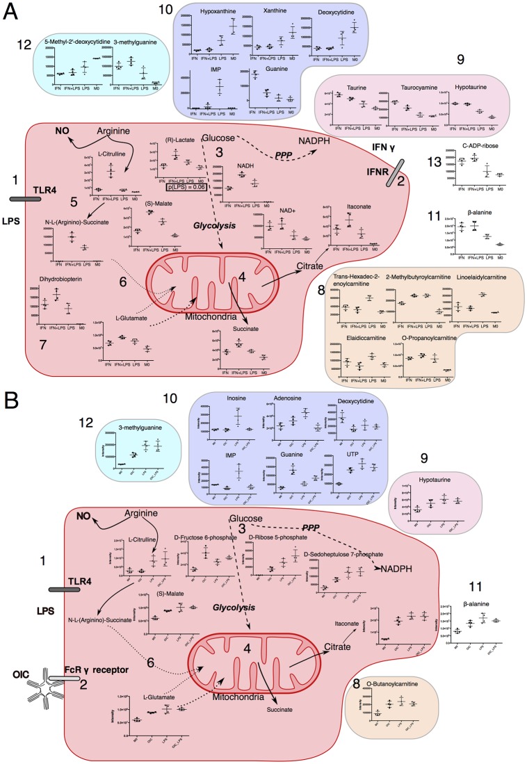 Fig 4