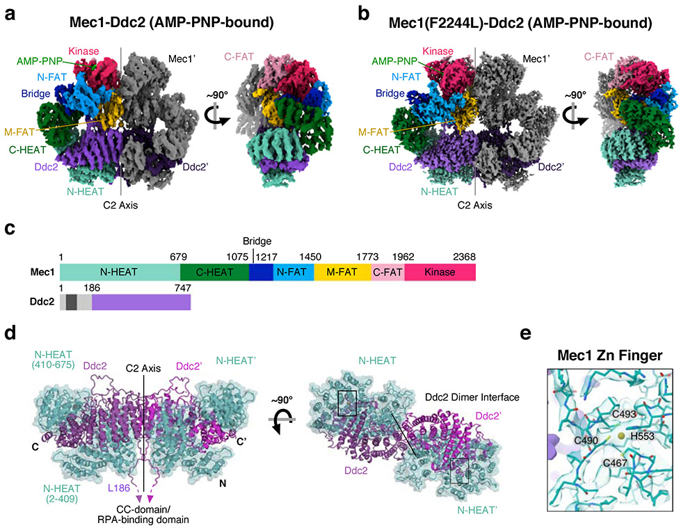 Figure 3: