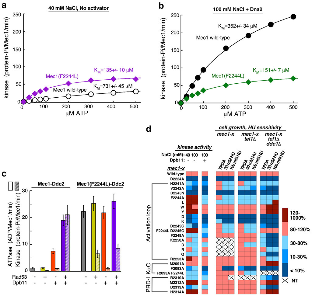 Extended Data Fig. 8