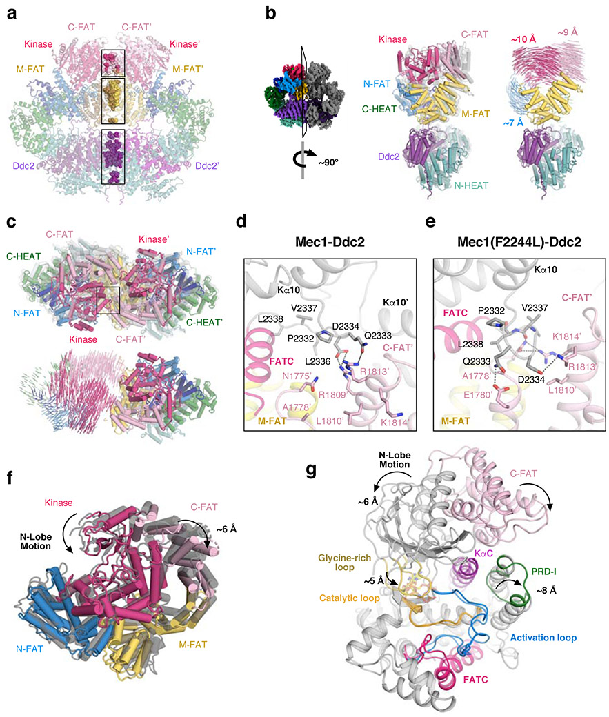 Figure 4: