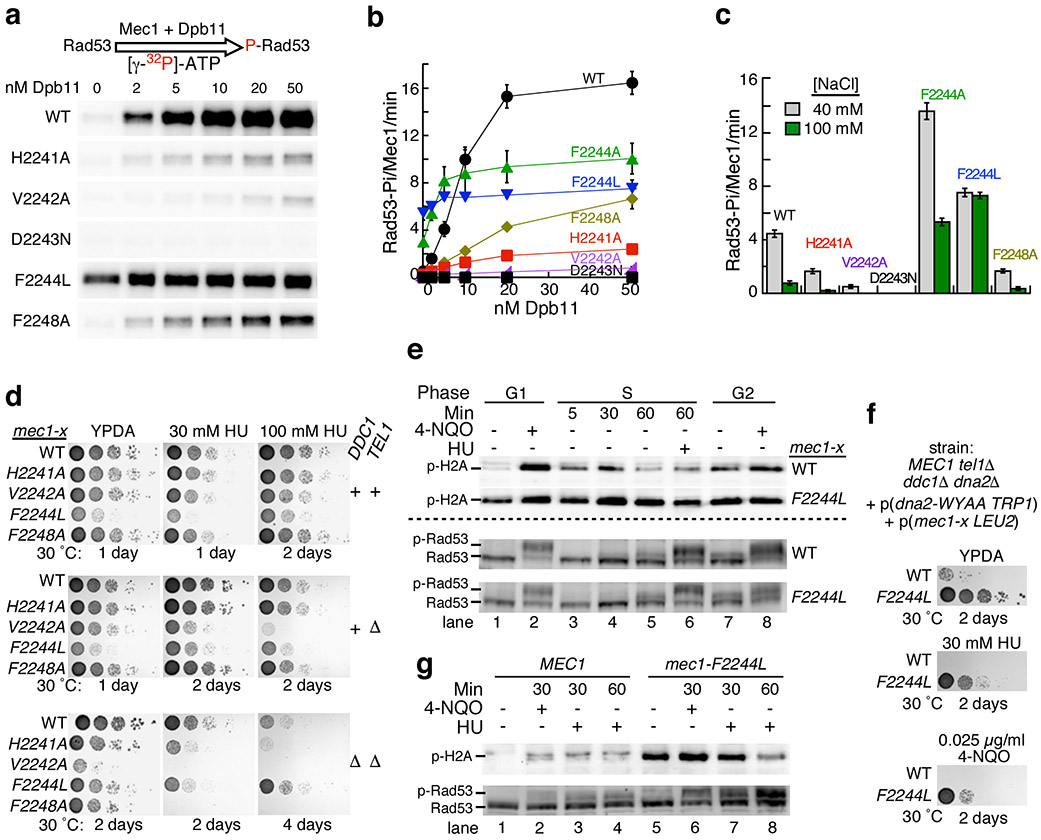 Figure 2: