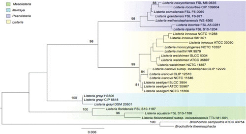 FIGURE 1