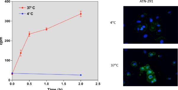 Fig. (3)