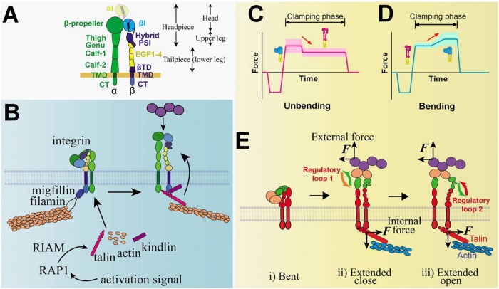 FIGURE 6: