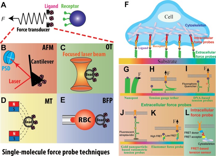 FIGURE 3: