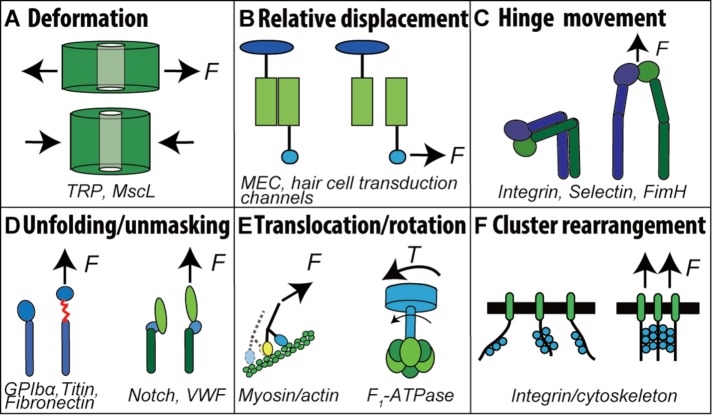 FIGURE 2: