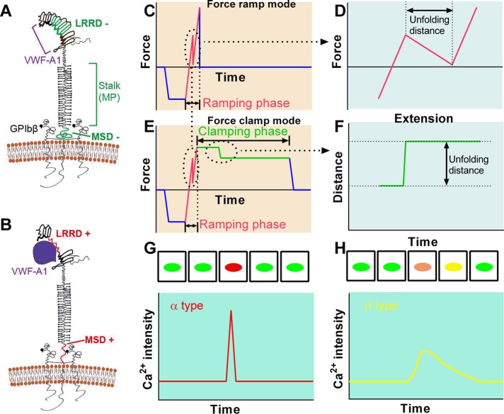 FIGURE 4: