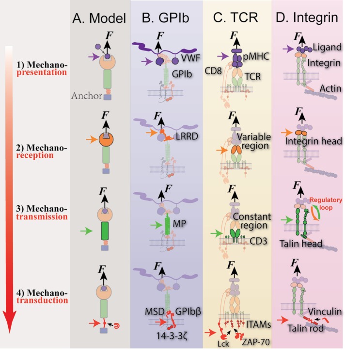 FIGURE 1: