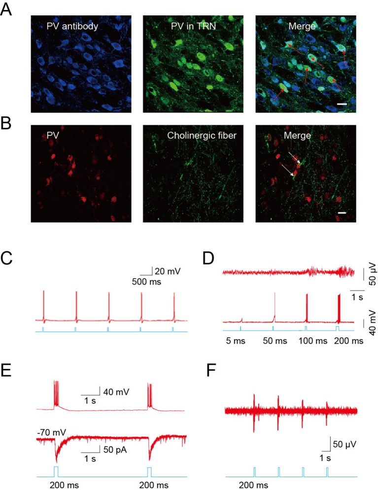 Figure 4.