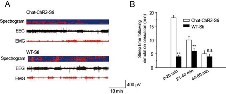 Figure 2—figure supplement 1.