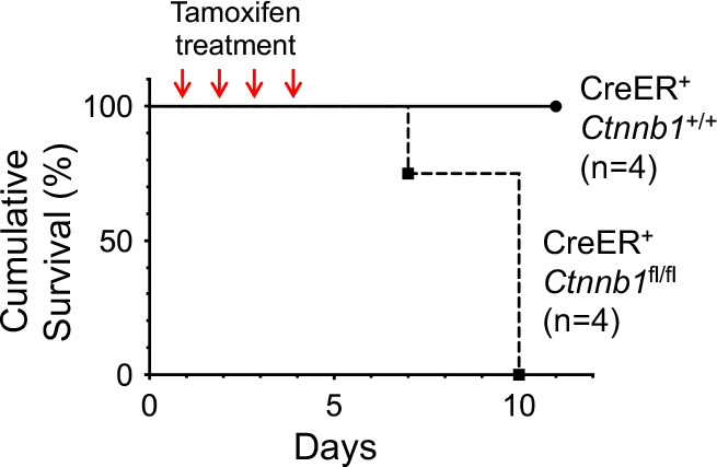 Figure 1—figure supplement 2.