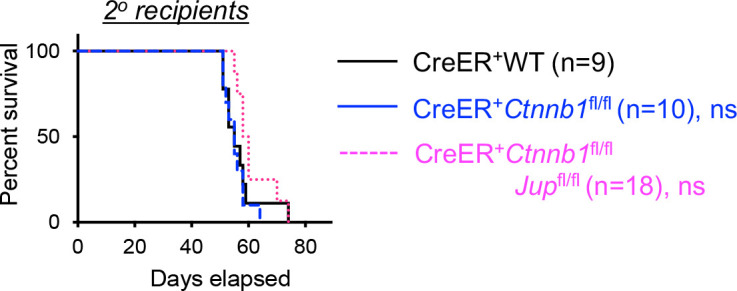 Figure 3—figure supplement 2.