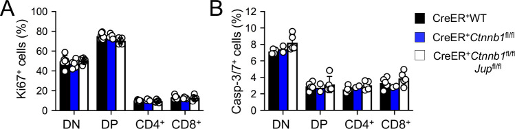 Figure 1—figure supplement 5.