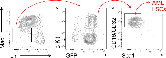 Figure 3—figure supplement 1.