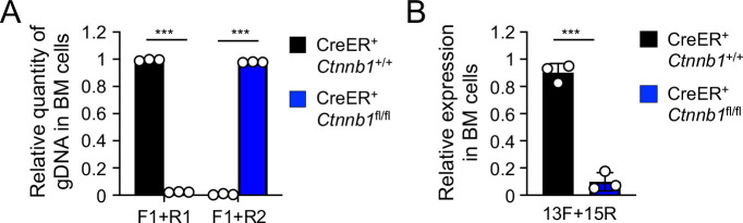 Figure 1—figure supplement 3.