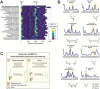 FIGURE 6: