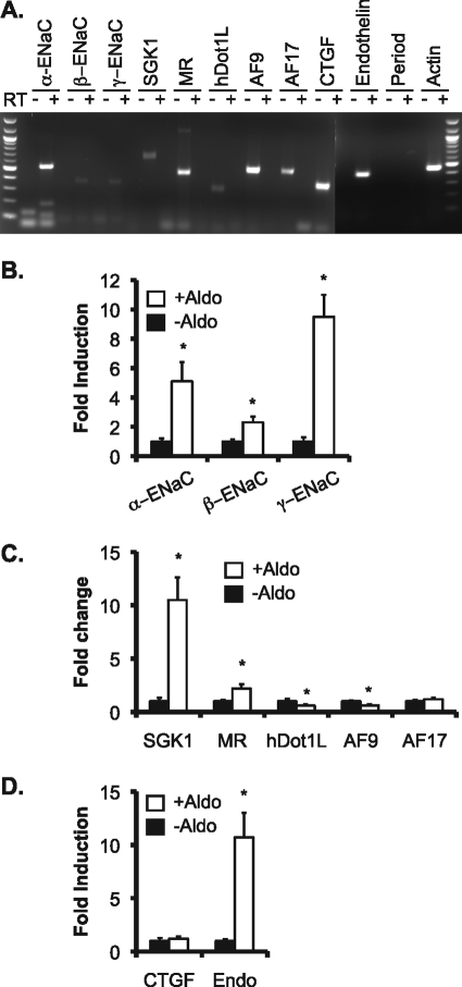 FIGURE 1.