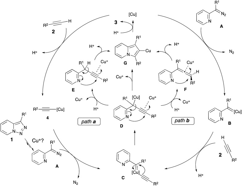 Scheme 2