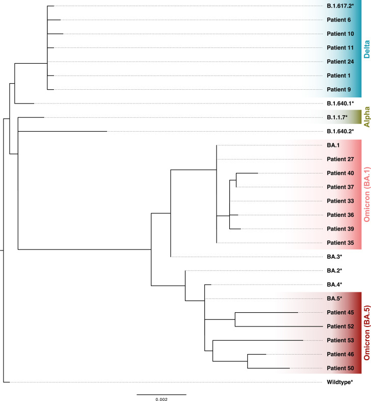 Figure 2