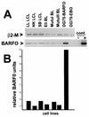 FIG. 7