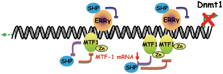 Figure 7.