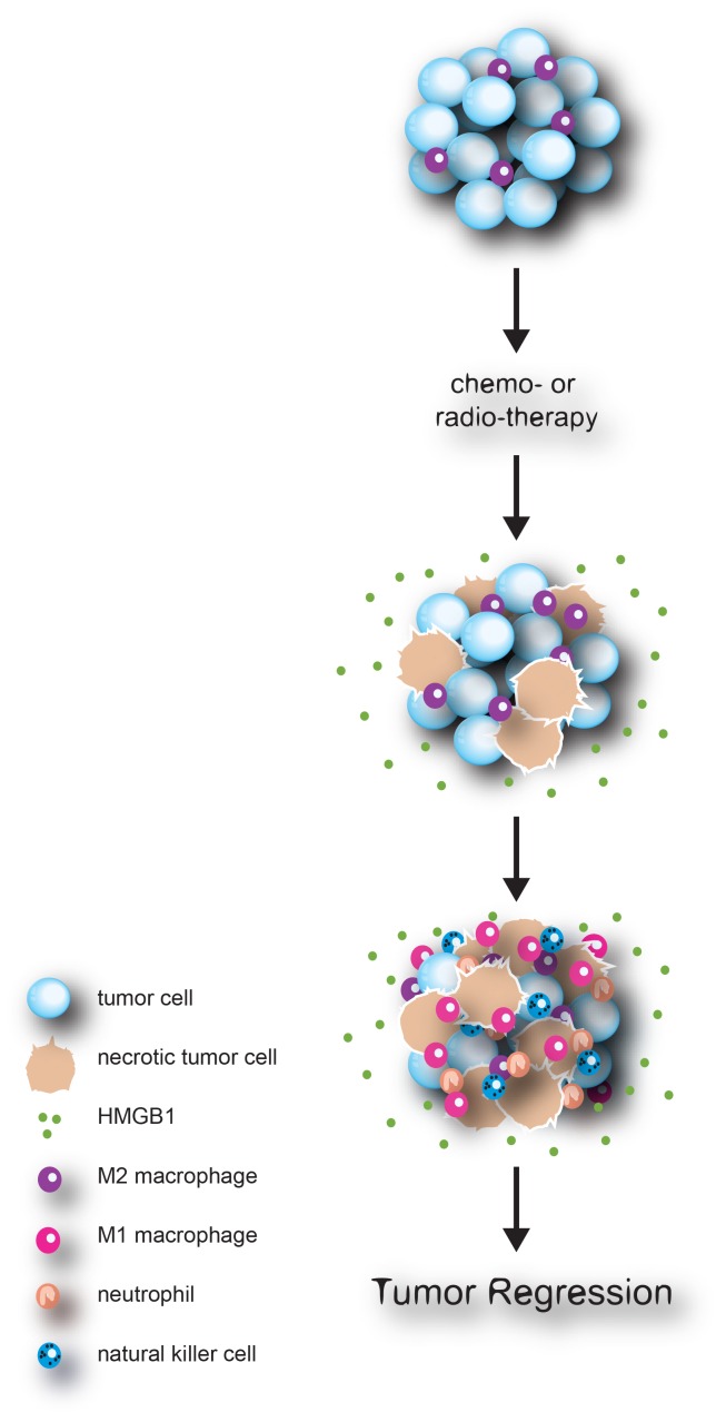 Figure 1.