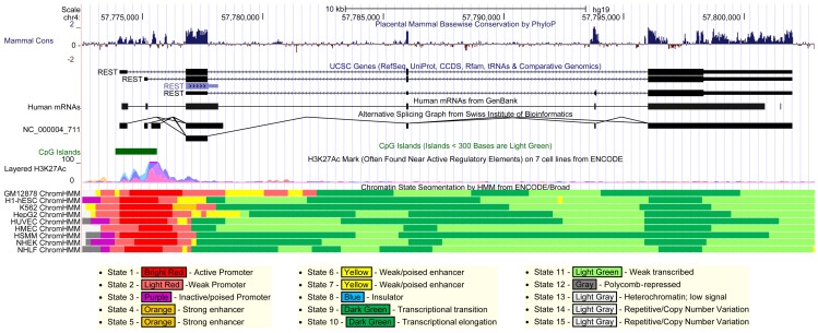 Figure 6