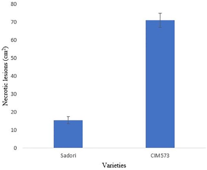 Fig 2