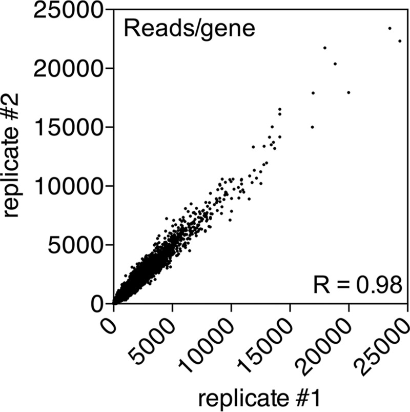 FIG 1