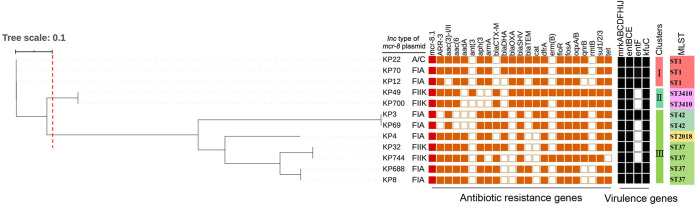 FIG 1