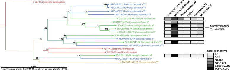 Fig. 6