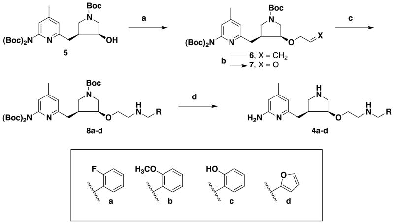 Scheme 1