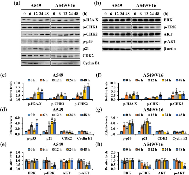 FIGURE 4
