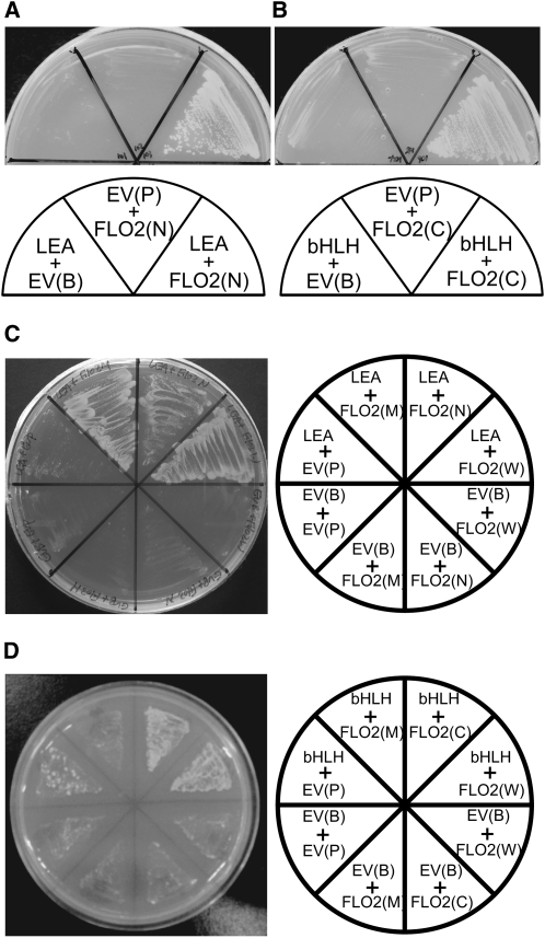 Figure 7.