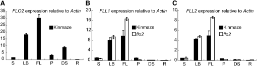 Figure 9.