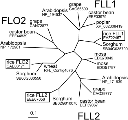 Figure 6.