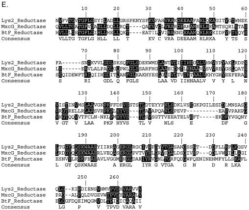 FIG.4.