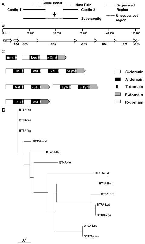 FIG. 3.