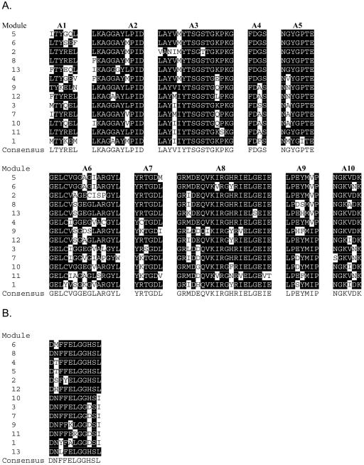 FIG.4.