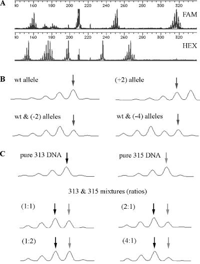 Figure 2.