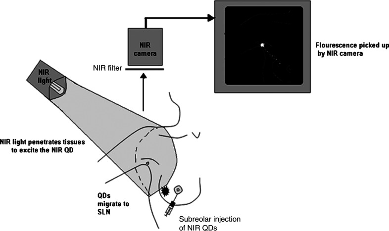 Fig. 8