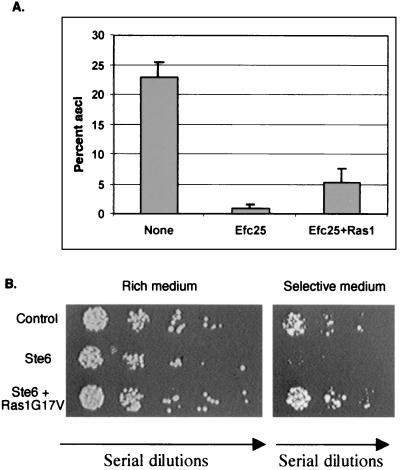 FIG. 7.