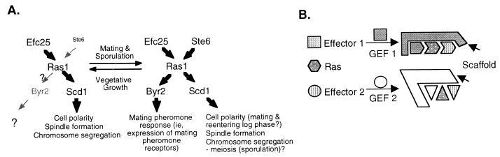 FIG. 8.