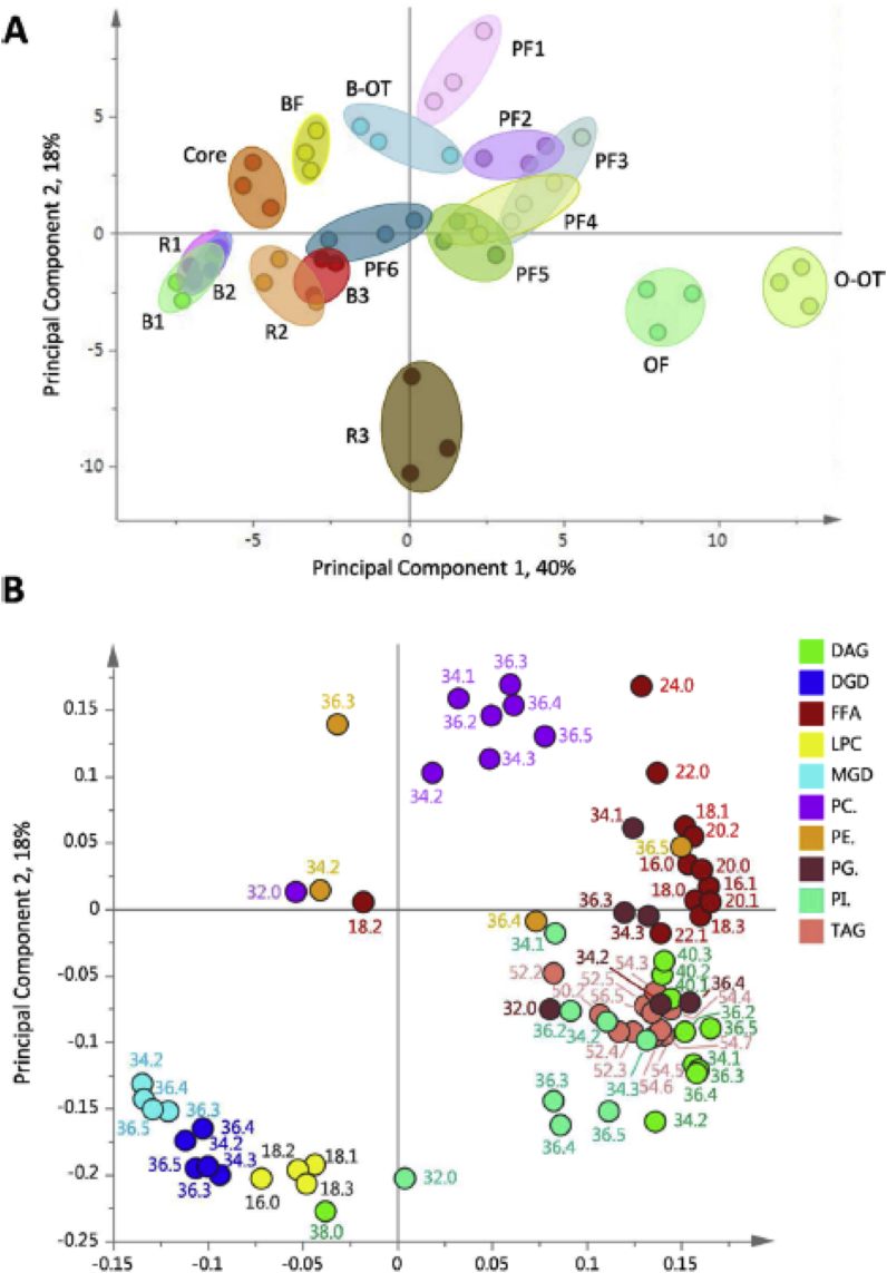 Fig. 6