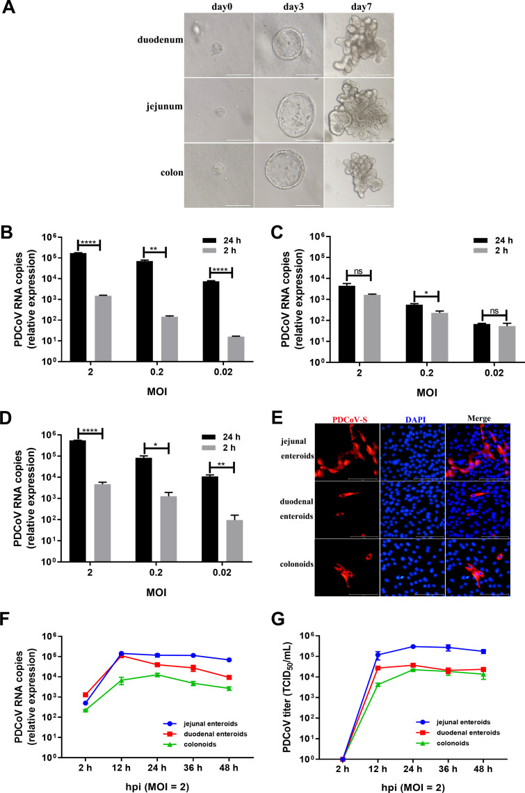 FIG 2