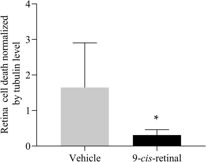 Figure 4