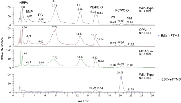 Fig. 2