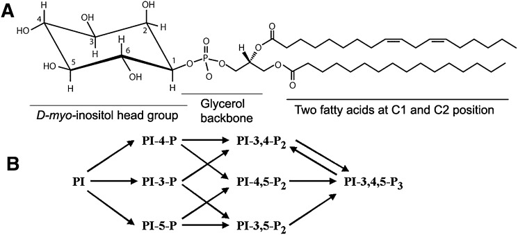 Fig. 1.